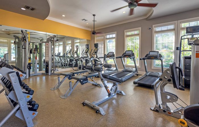 Cardio Equipment in Fitness Center
