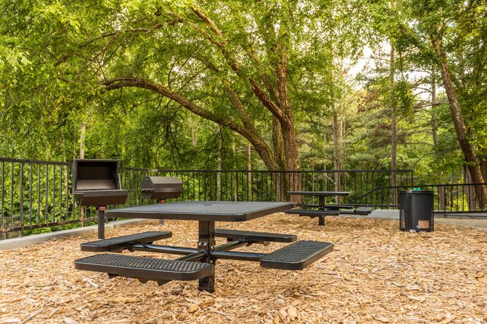 Outdoor picnic area with charcoal grills at Pointe at Canyon Ridge apartments for rent in Atlanta, GA