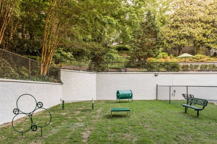 Private off-leash dog park with pet play structures at Pointe at Canyon Ridge apartments for rent in Atlanta, GA