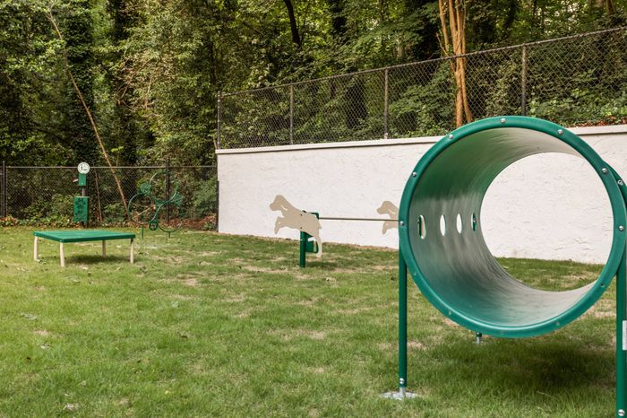 Private off-leash dog park with pet play structures at Pointe at Canyon Ridge apartments for rent in Atlanta, GA