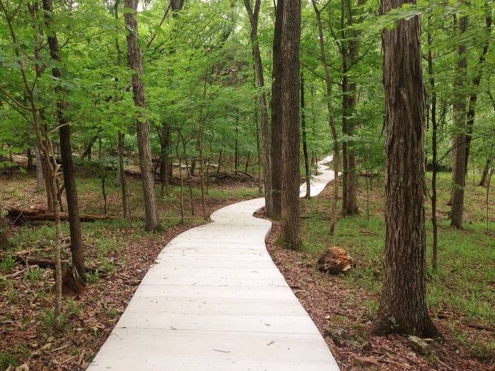 Beautiful Community Walking Trail