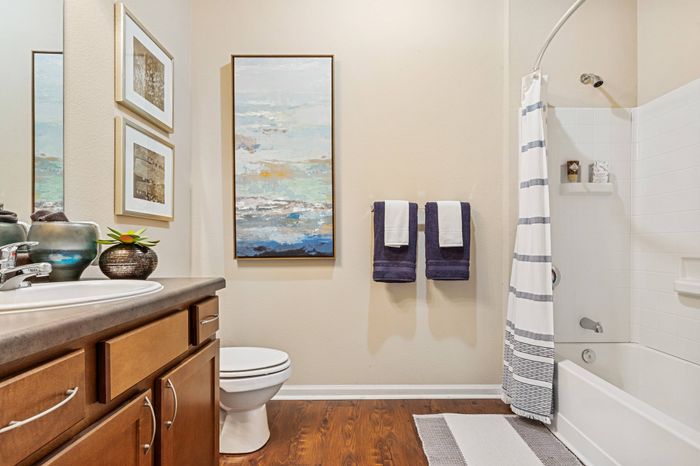 Spacious guest bathroom at St. James at Goose Creek apartments for rent in Charleston, SC