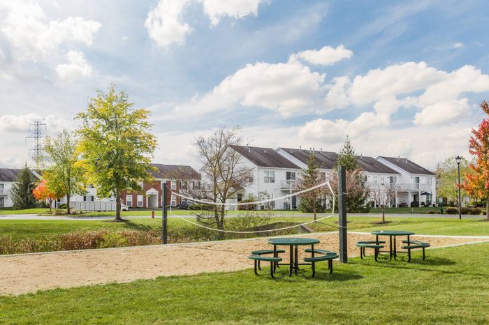 Volleyball Court