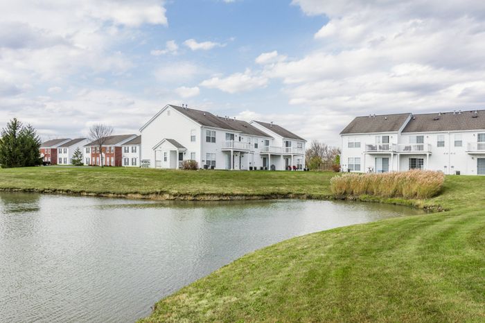 Pond Views