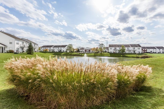 Beautiful Pond Views