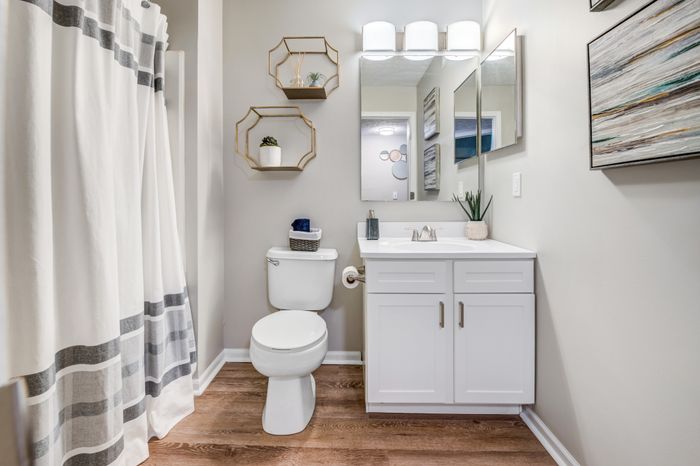 Newly Renovated Bathroom