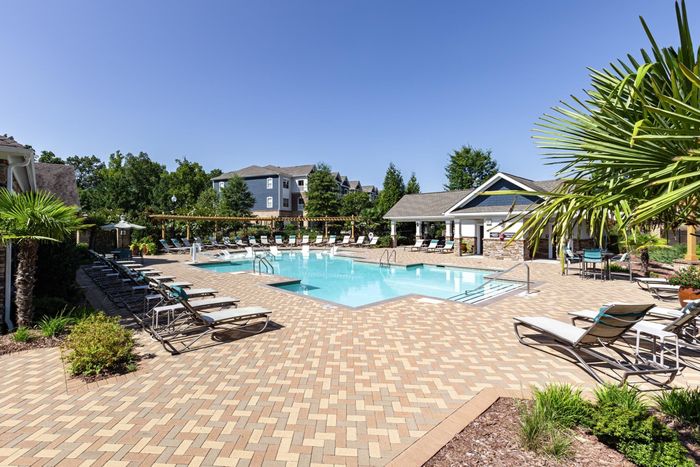 Refreshing Swimming Pool