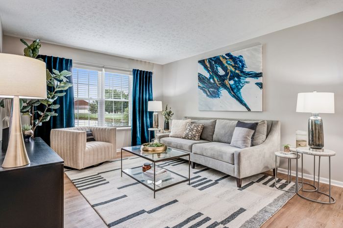 Newly Renovated Spacious Living Room