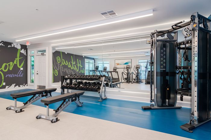 Free Weights Area in Fitness Center