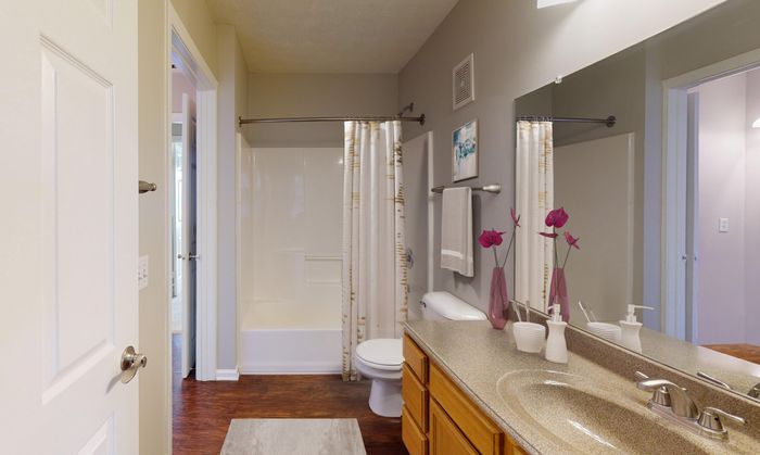 Full Bathroom with Tub
