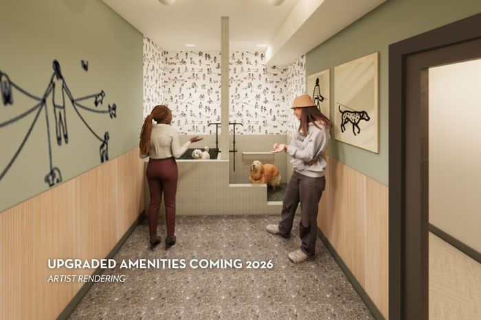Brand New Pet Spa Coming Soon