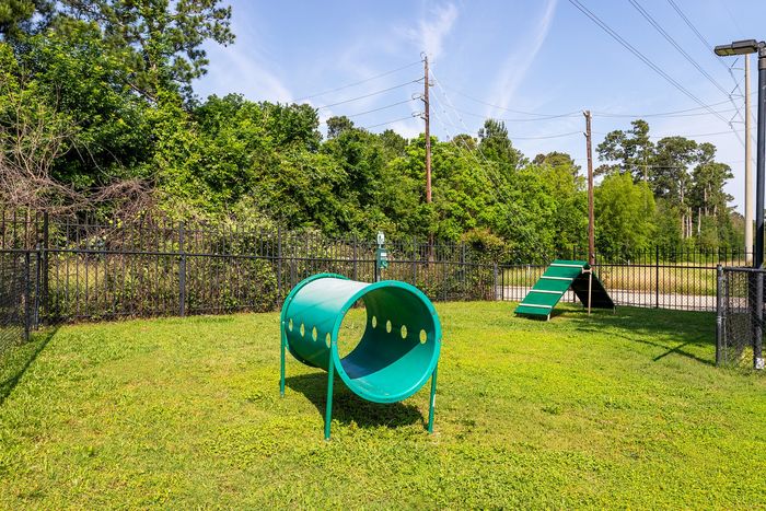 Dog Park