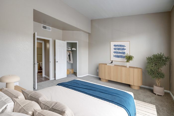 Bedroom with Walk-in Closet