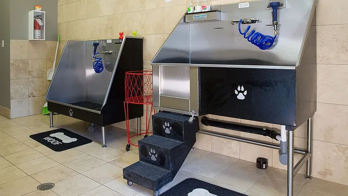 Modern pet washing station with stainless steel tubs and convenient access steps, perfect for a pet-friendly apartment.