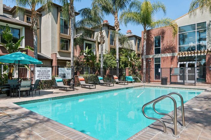 Chic apartment complex featuring a sunlit swimming pool, surrounded by elegant palm trees and modern architecture.