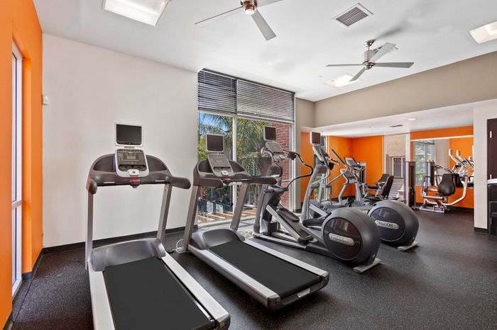 Bright and modern gym with state-of-the-art exercise equipment and natural light from large windows.