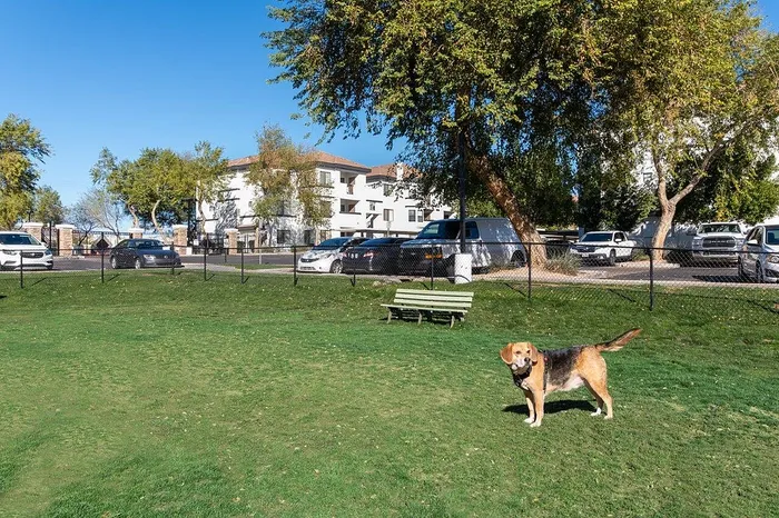 Charming pet-friendly apartment community with green park, trees, and convenient parking, ideal for outdoor enthusiasts and pet lovers.