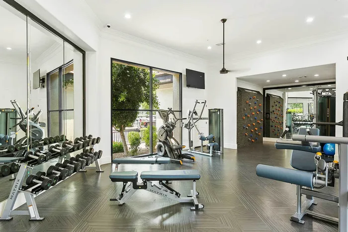 Modern gym facility with state-of-the-art exercise equipment, wall mirrors, and bright natural lighting.