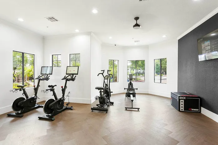 Bright and modern fitness room featuring top-of-the-line exercise bikes, sleek rowing machine, and vibrant outdoor views through large windows.
