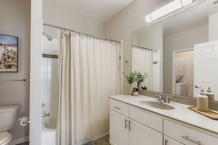 Bright and modern bathroom featuring elegant vanity with granite countertop, spacious shower with curtain, and stylish decor including potted plant and wall art.