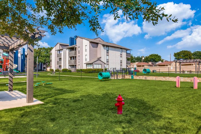 Dog park with fire hydrant