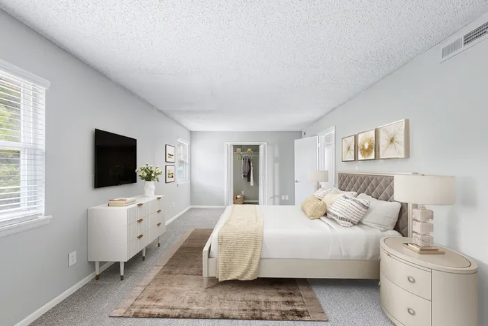 Bed, dresser and TV