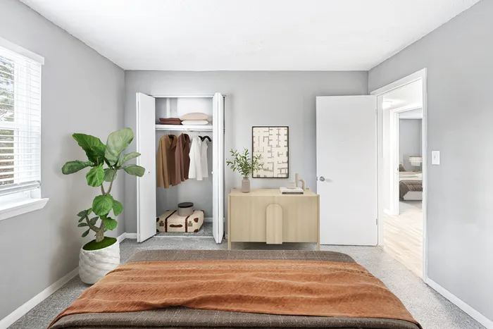 Bed, plant, dresser and closet