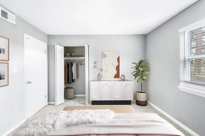 Bed, plant, dresser and closet