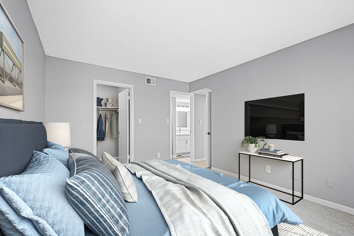 Bed, TV, and closet