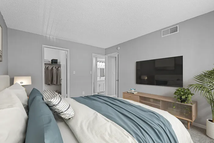 Bed, TV, and closet