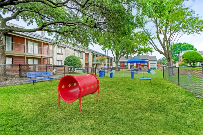 Dog park with bench