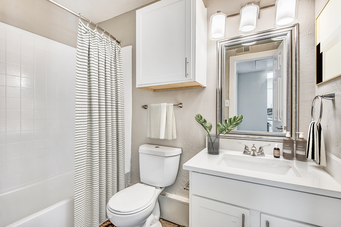 bathroom, quartz countertops, vanity light and mirror, toilet, bathtub