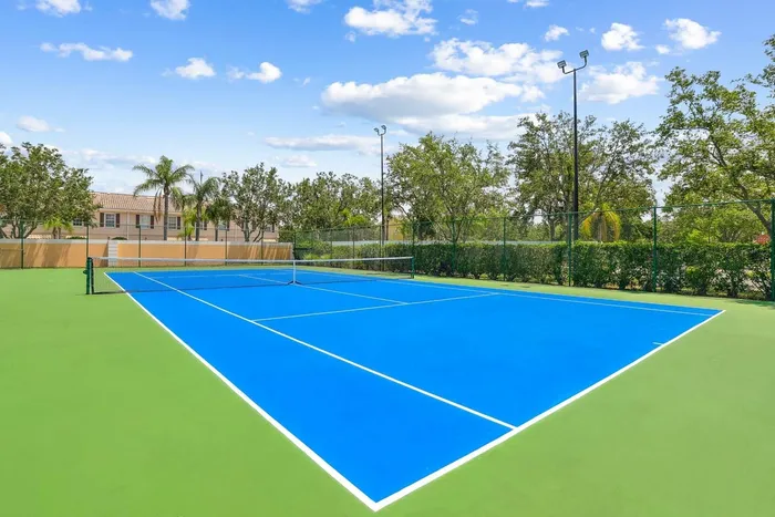 Blue tennis court, exterior light post, native landscaping and shrubbery