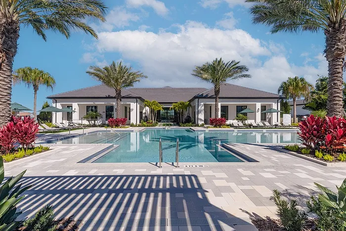 Expansive pool, sundeck, lounge chairs and palm trees