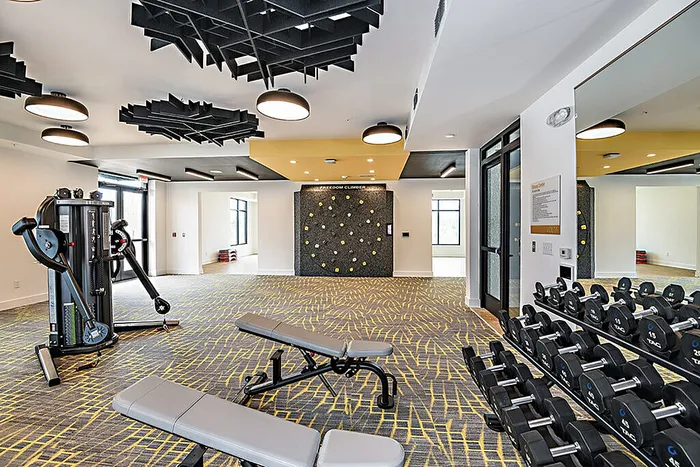 Modern fitness center featuring state-of-the-art equipment, bright lighting, and stylish decor for an energizing workout experience.