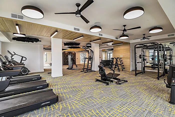 Modern fitness center equipped with state-of-the-art exercise machines and stylish interior design, perfect for a healthy lifestyle.