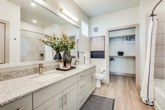 Luxurious modern bathroom with elegant granite countertop, dual sinks, chic decor, and a spacious walk-in closet.