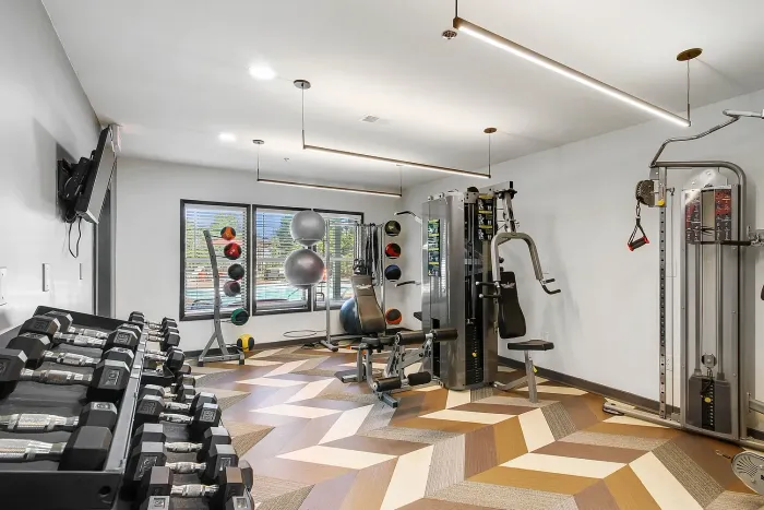 Modern fitness center with state-of-the-art gym equipment, vibrant decor, and large windows overlooking a serene outdoor view.