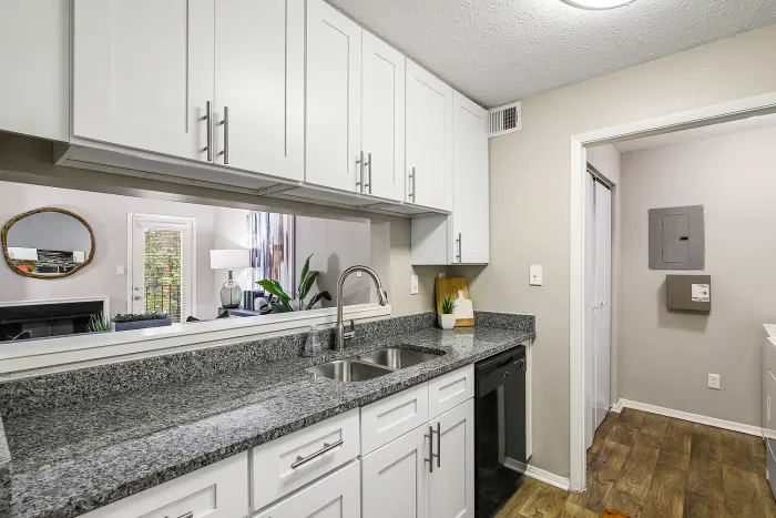 Modern apartment kitchen with white cabinets, granite countertops, stainless steel sink, and open pass-through to living area.