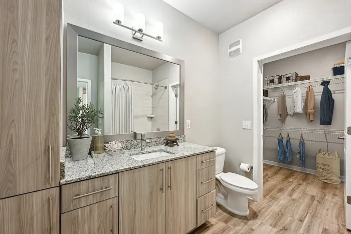 Elegant bathroom with modern wooden cabinetry, granite countertop, and walk-in closet in a stylish apartment.