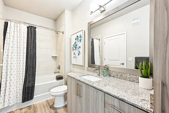 Modern bathroom with a granite vanity, large framed mirror, and wood-style cabinetry, alongside a tub-shower combo with patterned curtains and neutral tile surround.