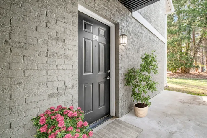 Inviting apartment entrance with elegant black door, lush green potted plant, and vibrant flowers providing a warm welcome.