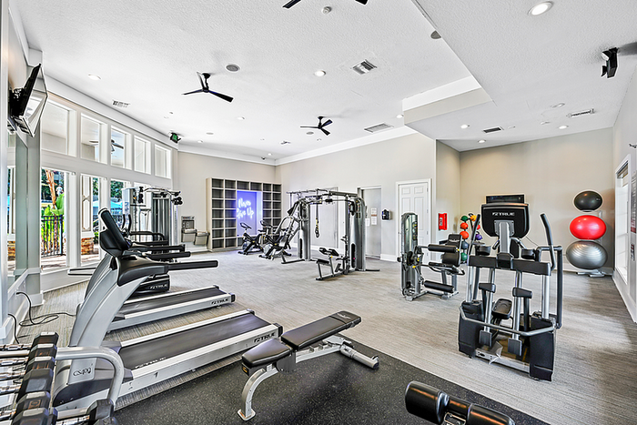 Bright, modern fitness center with state-of-the-art equipment, large windows offering natural light, and a motivational neon sign.