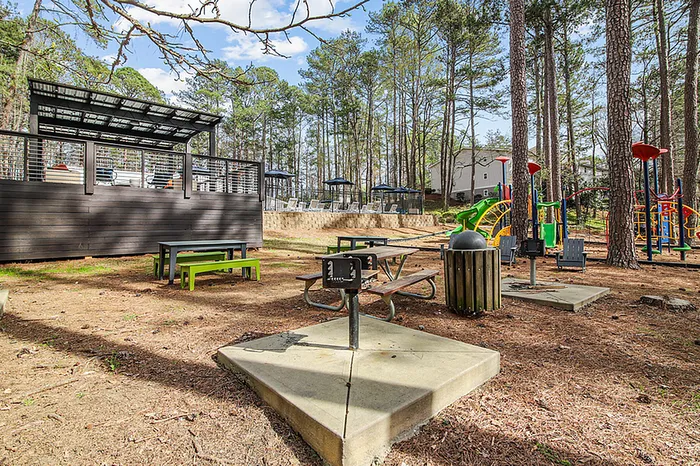 Charming outdoor community space with picnic tables, barbecue grills, and a vibrant playground surrounded by lush pine trees.