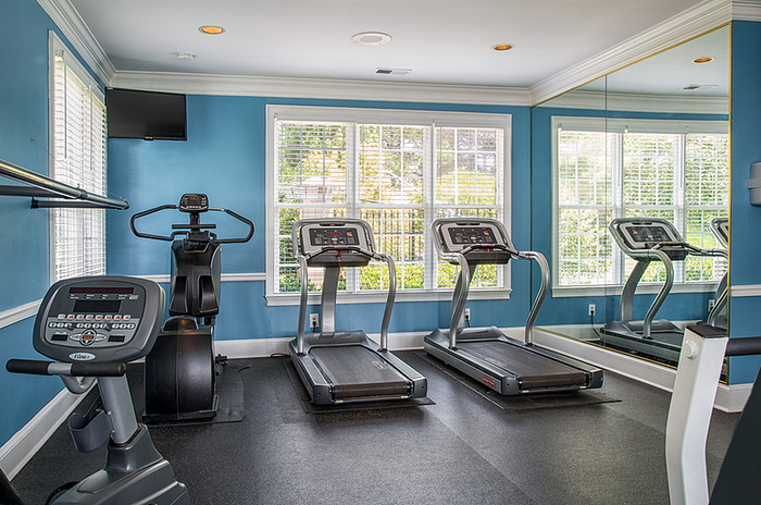 Bright and inviting home gym with modern exercise equipment, featuring two treadmills and an elliptical against a backdrop of large windows and mirrored walls.