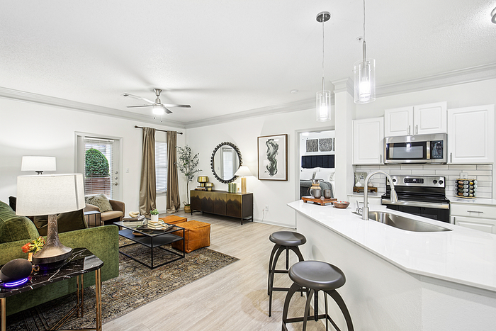Chic open-plan apartment featuring a modern kitchen and cozy living area with stylish decor and natural light.