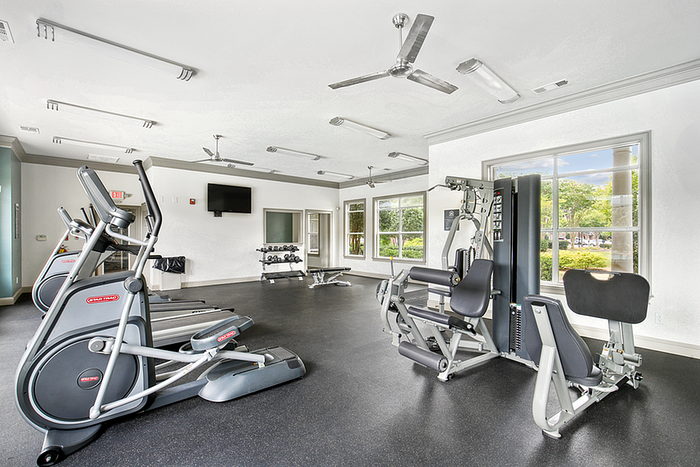 Bright, modern fitness center with state-of-the-art exercise equipment and large windows overlooking lush greenery.