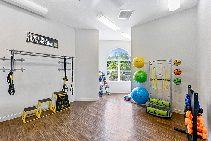 Fitness center training zone with bright gym equipment, TRX bands, and a sunny window view.
