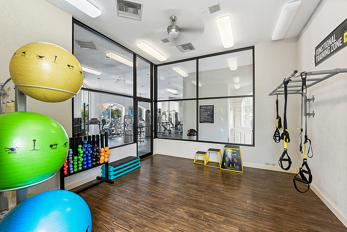 Modern fitness center with vibrant exercise balls, pull-up bars, and training mats, ideal for an active lifestyle and personal workouts.