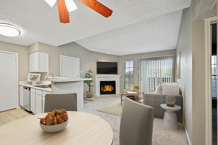 Bright and inviting open-concept apartment with modern kitchen, cozy living area with fireplace, and stunning natural light.